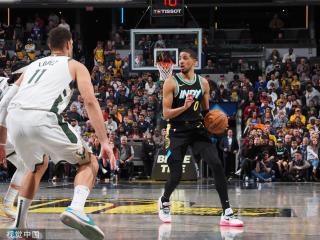 包括某些在 包括某些在